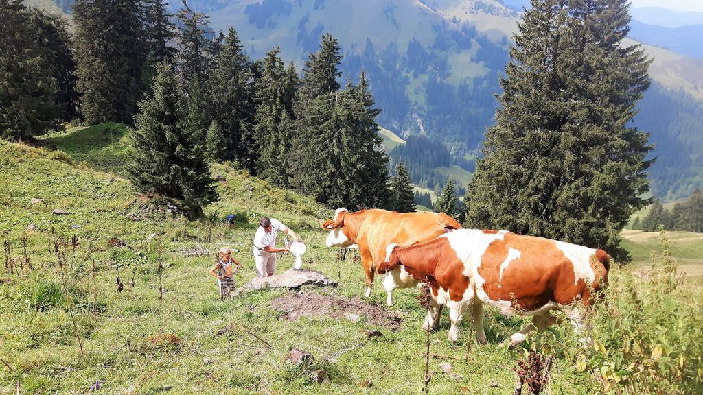 Bio-Bauernhof Hatzbauer Maria Alm am Steinernen Meer Exterior photo