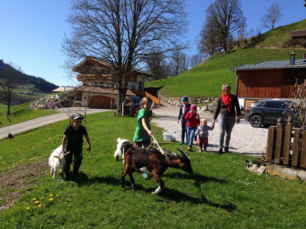 Bio-Bauernhof Hatzbauer Maria Alm am Steinernen Meer Exterior photo