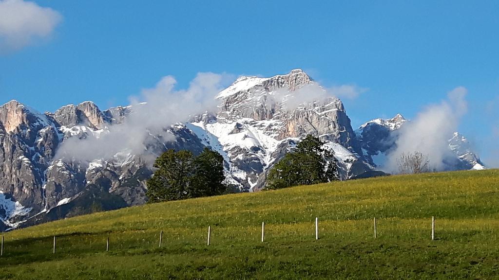 Bio-Bauernhof Hatzbauer Maria Alm am Steinernen Meer Exterior photo